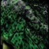 Bullet Carpet Gator Dartmat 300 x 60 cm