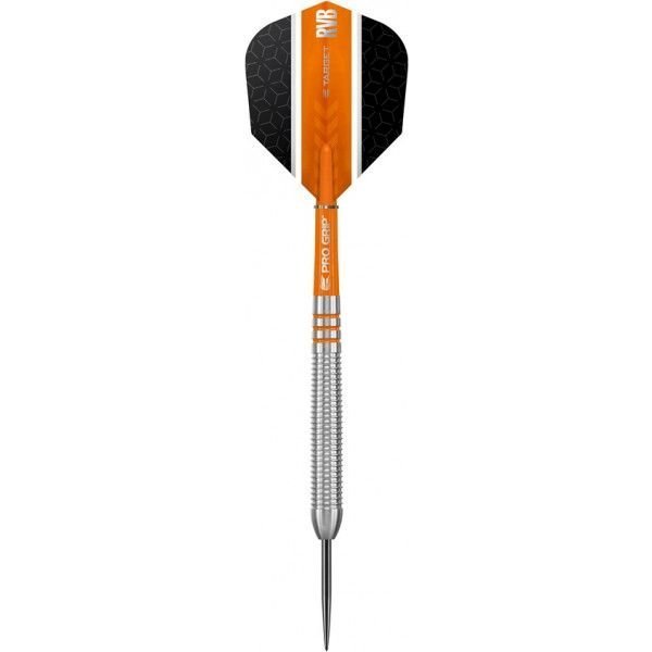 Target Raymond van Barneveld 80% Tungsten 21 gram darts