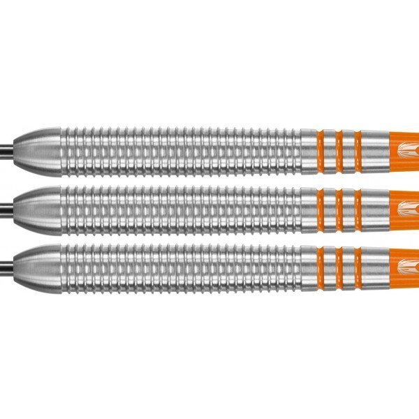Target Raymond van Barneveld 80% Tungsten 21 gram darts