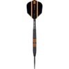 Target Raymond van Barneveld 80% Tungsten 24 gram Black darts