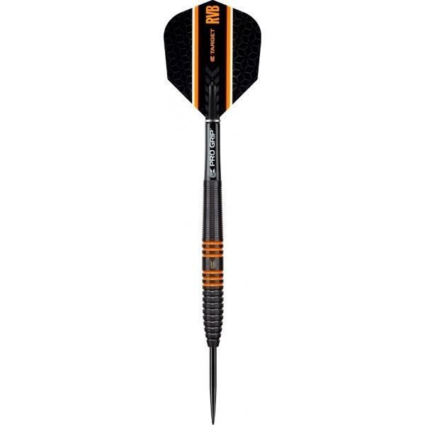 Target Raymond van Barneveld 80% Tungsten 22 gram Black darts