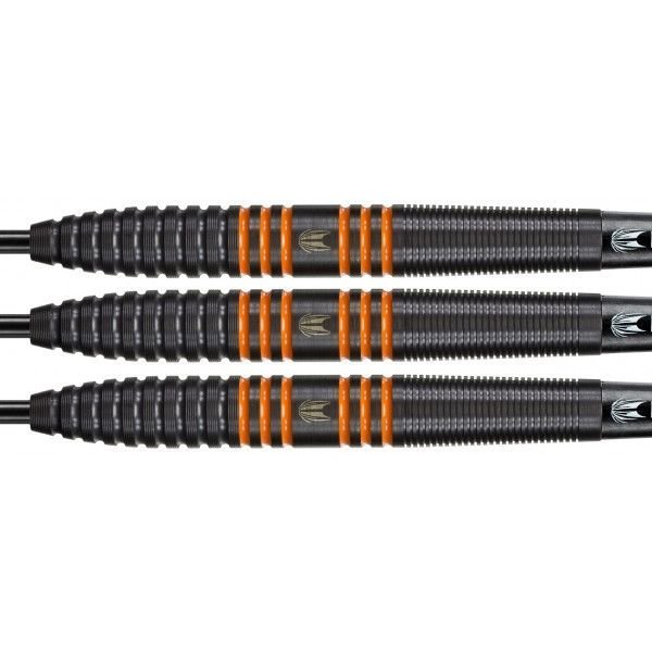 Target Raymond van Barneveld 80% Tungsten 22 gram Black darts