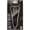 Target Raymond van Barneveld 80% Tungsten 22 gram Black darts